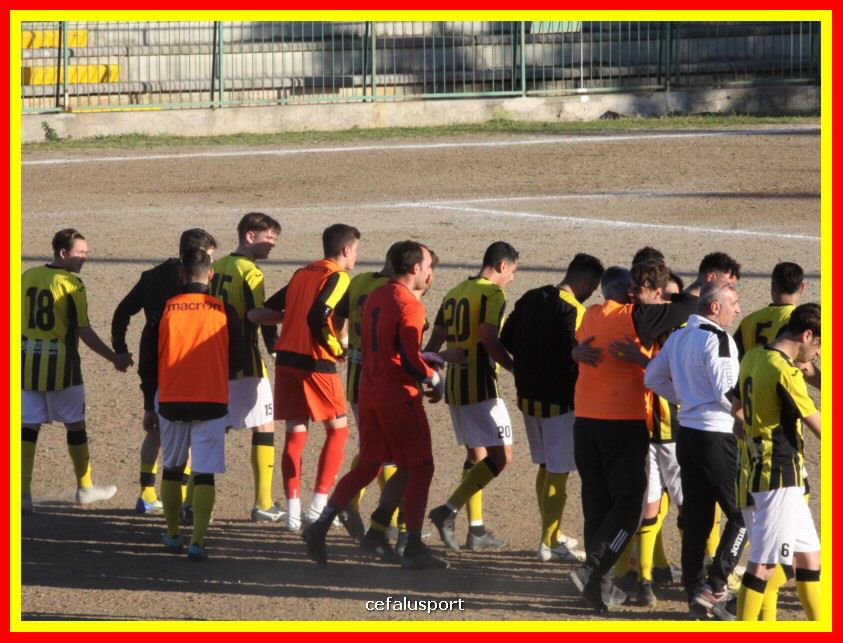 190310 Cephal_Torrenov 216_tn.jpg